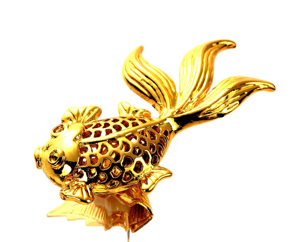 金魚濾網組 (15).jpg