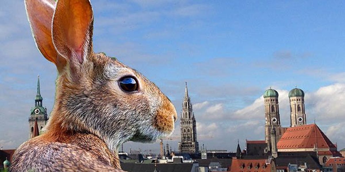 Ostern 2024 德國復活節介紹 ~ 兔子與彩蛋歡慶春天到來 意義、習俗、活動、料理。