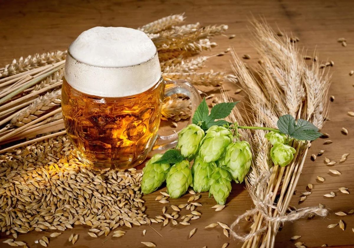 德國啤酒好喝的「秘密」~ 德國啤酒純釀法 Reinheitsgebot