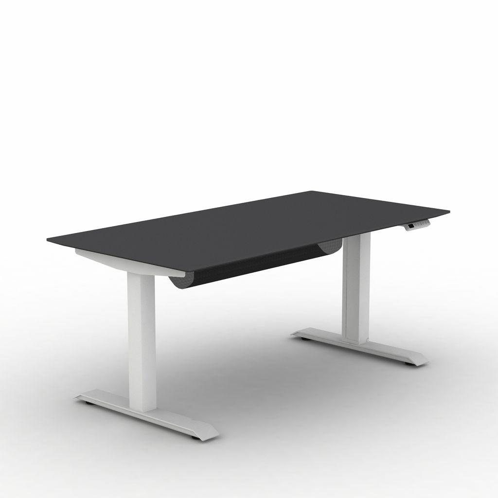 ez assembly desk (22'0519)_graphite_white epoxy.jpg