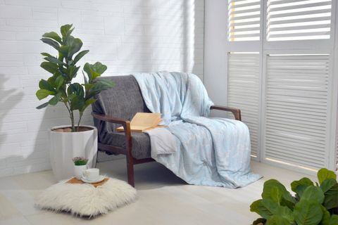 Cooling Blanket_Claro(150x200cm).jpeg