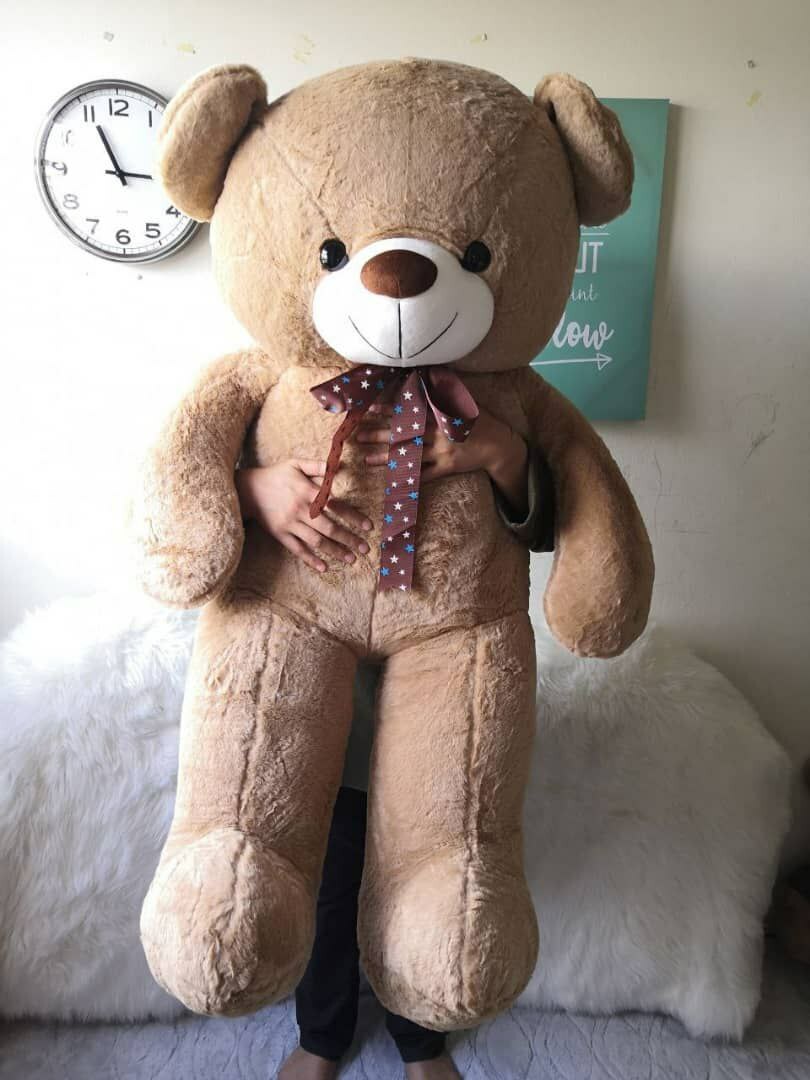 kaison teddy bear price