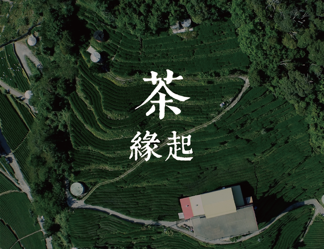 雲鼎茶庒 |  - 