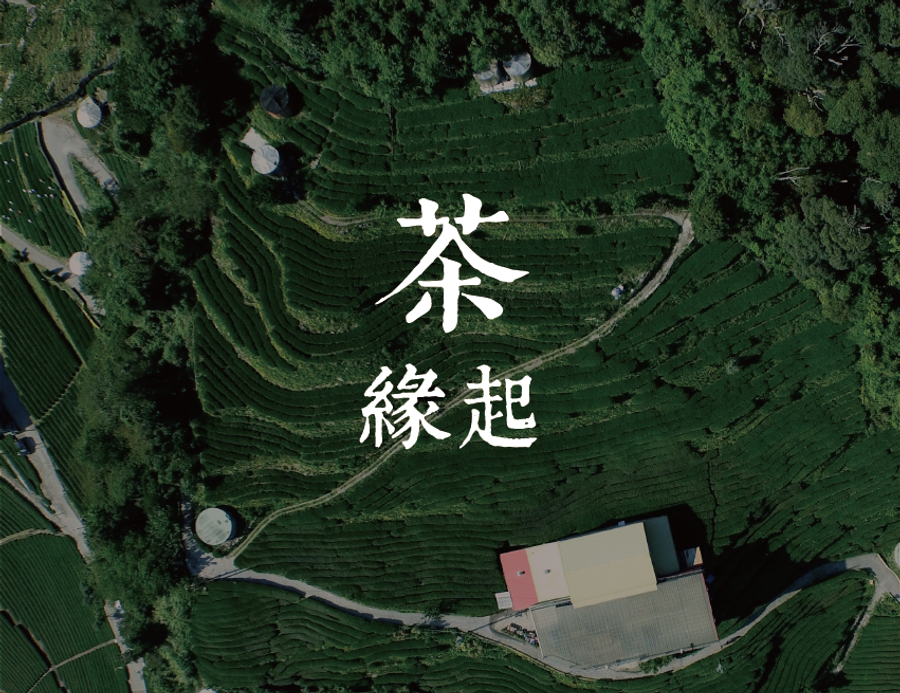 雲鼎茶庒 |  - 