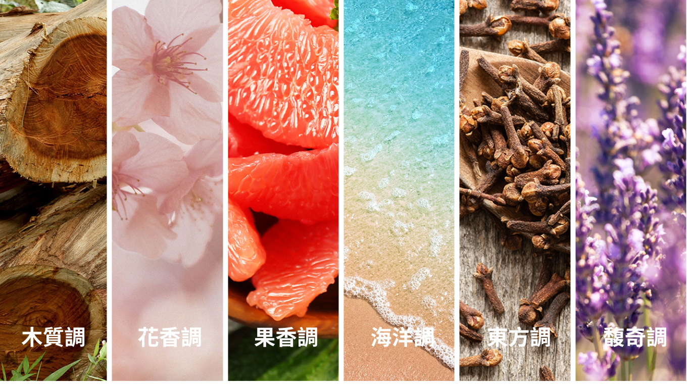 官網圖用這裡做-5