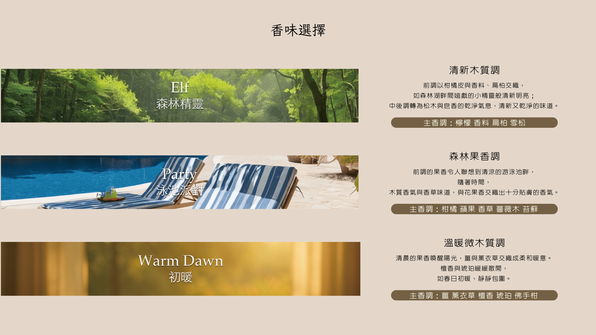 行銷 計劃 簡報 黑白 翠綠 薄荷 綠色 氣派 典雅 風格 的複本 的複本-2