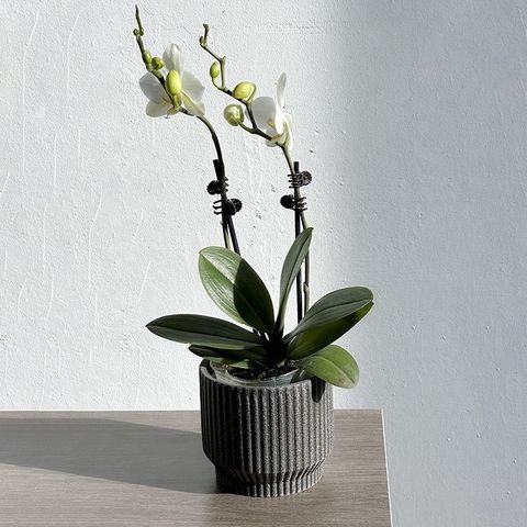 tw-11134207-7r98o-lonkn3ij0tj0cd