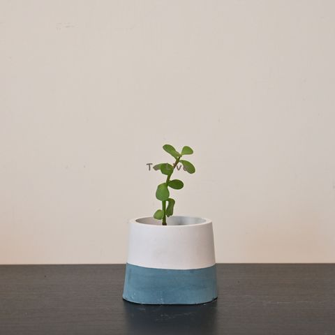 tw-11134207-7qukw-lisu29s70uk442