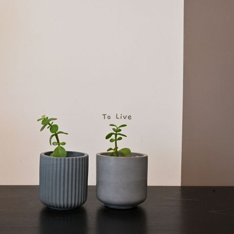 tw-11134207-7qul2-lj7xil5irmmaa1