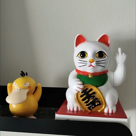 tw-11134207-7r98t-lzjbm6jkekv221