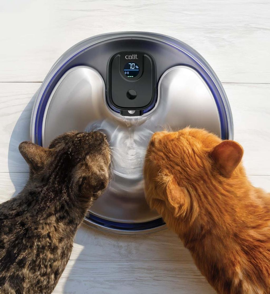 WhatsApp Image 2026-03-31 at 1.41.23 PM (7)