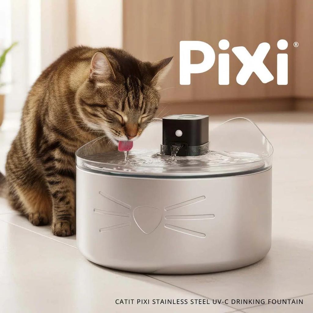 WhatsApp Image 2026-03-31 at 1.41.22 PM