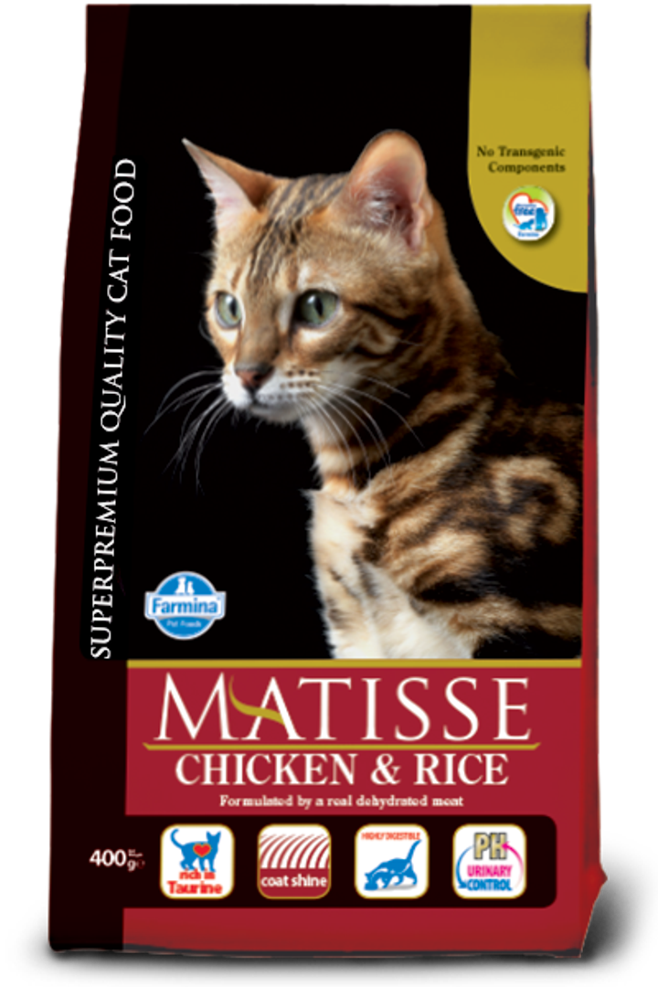 matisse chic