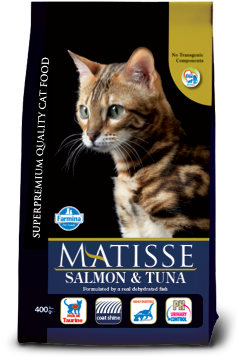 matisse salmon