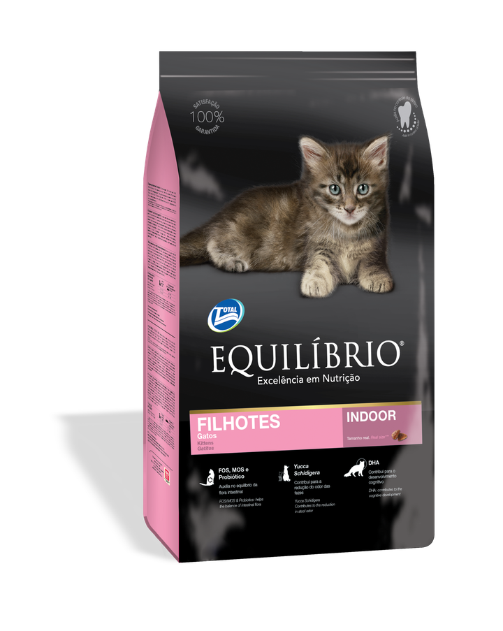 equil kitten