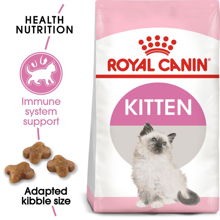 FHN Kitten Hero 1﻿