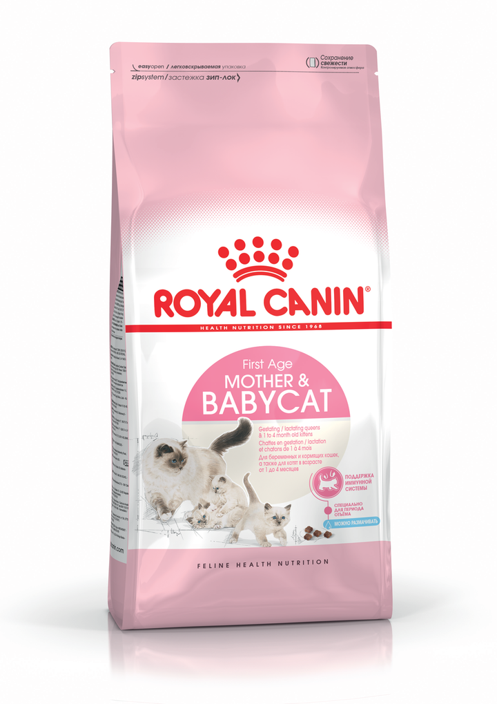 FHN Mother _ Babycat Hero 8