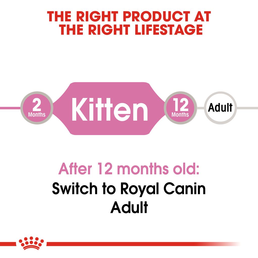 FHN Wet Kitten Pouch Hero 2