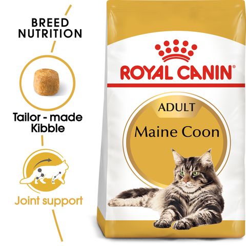 FBN Maine Coon Adult Hero 1