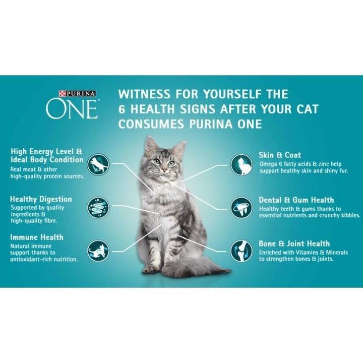 purina 2