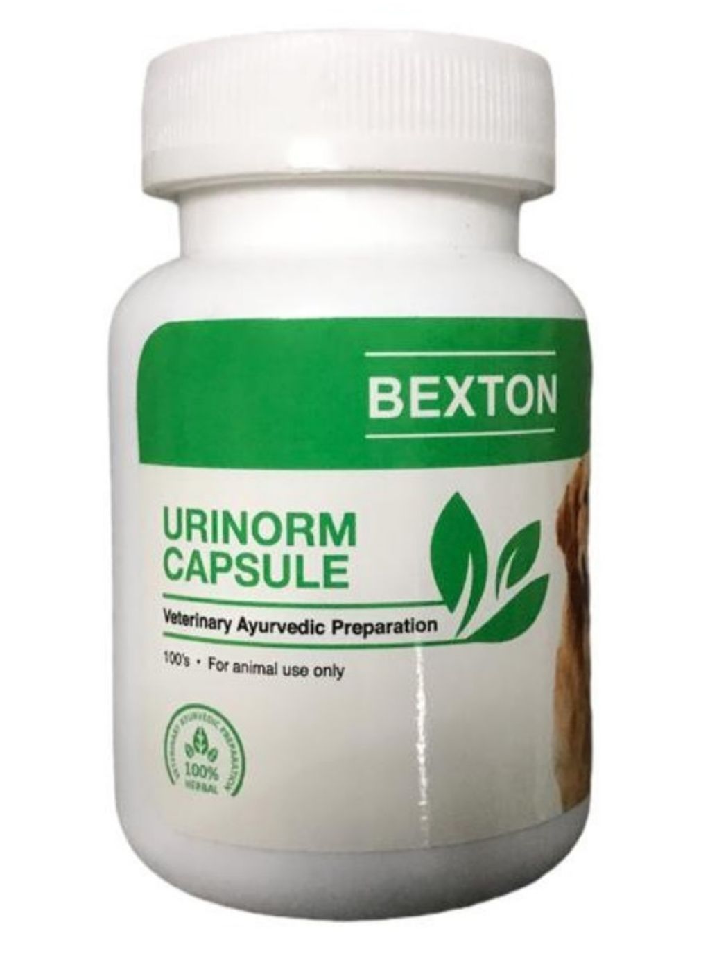 Urinorm capsule 2