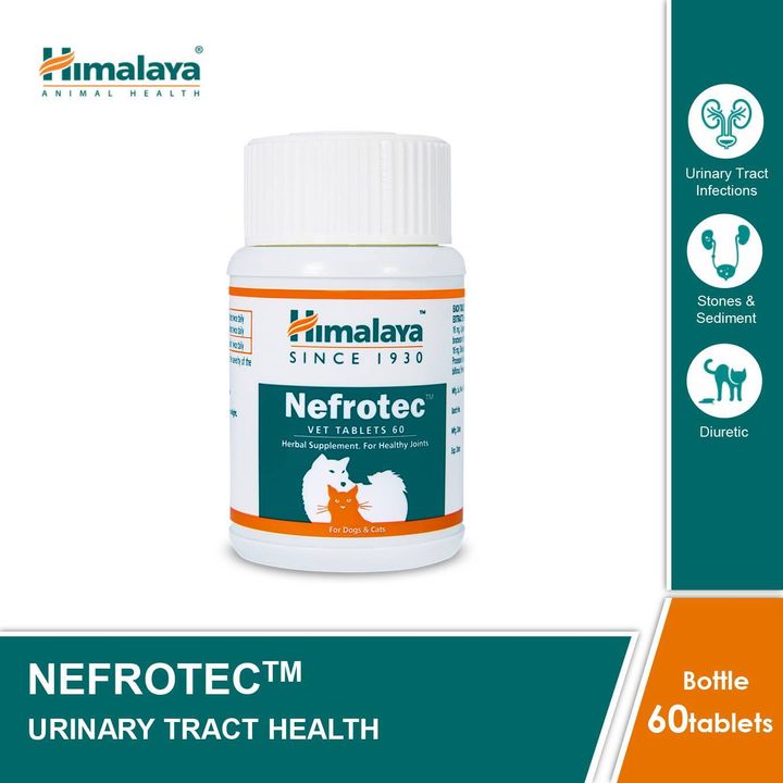 nefrotec 2