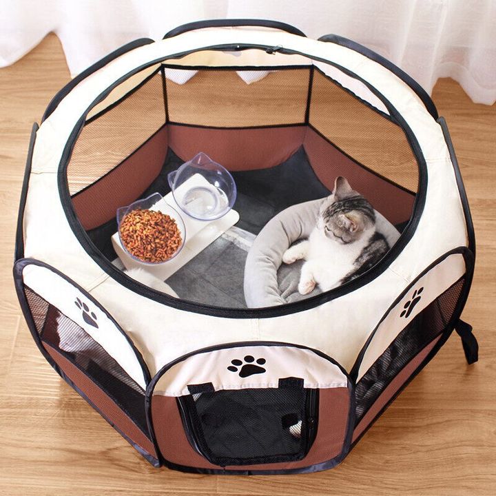 tent 4