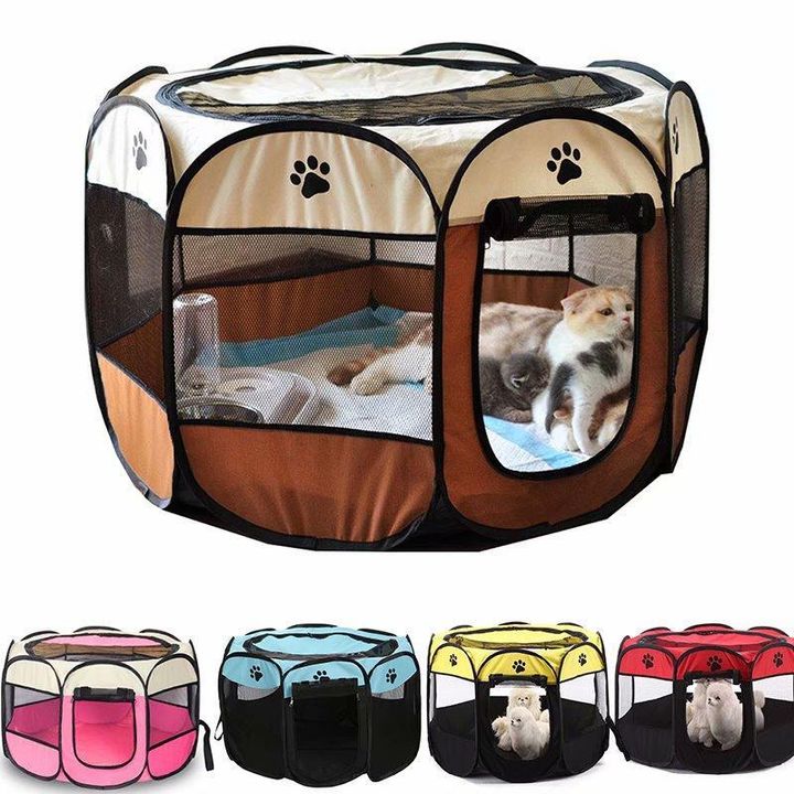 Tent 5