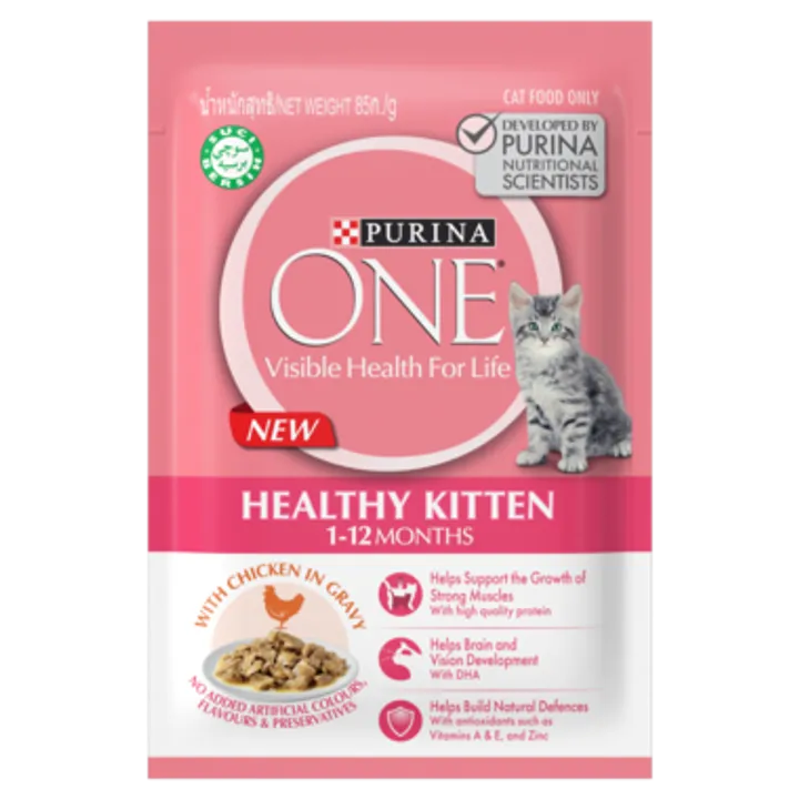 purina kitten