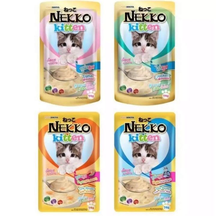 nekko kitten