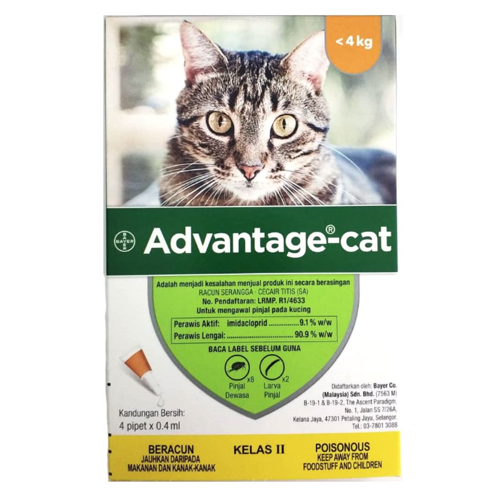 My cat licked 2024 advantage flea treatment