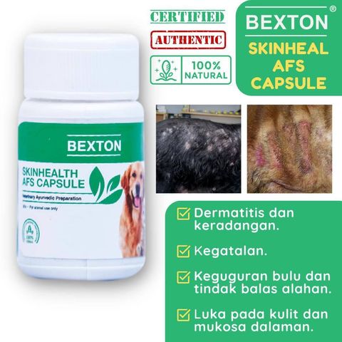 bexton skin