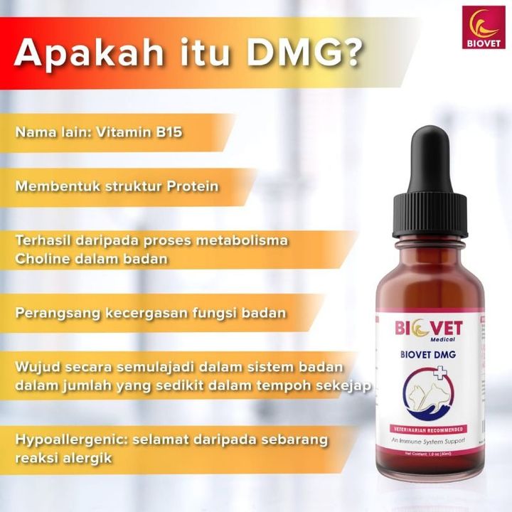 DMG1
