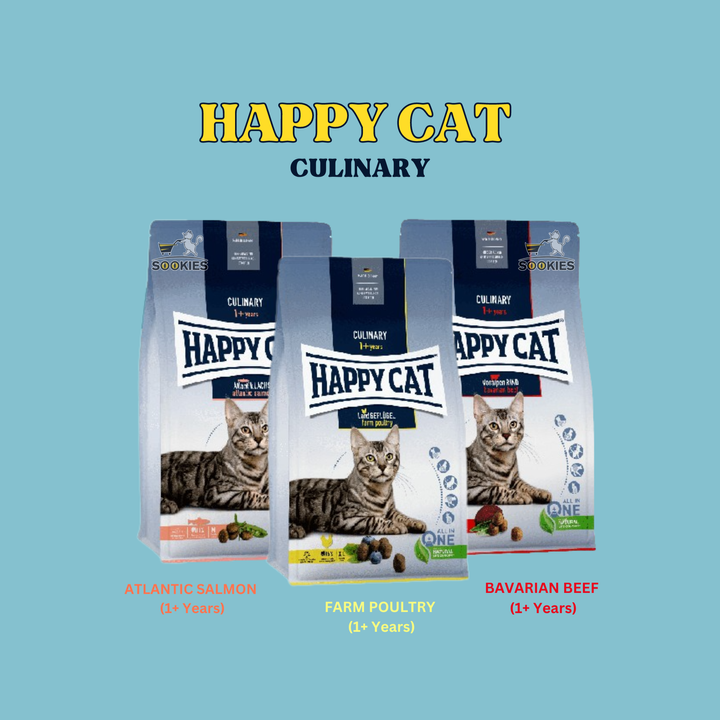 HAPPY CAT  CULINARY (1)
