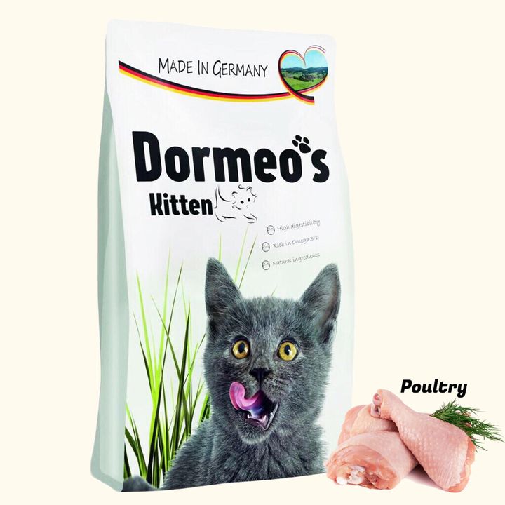 dormeo kitten