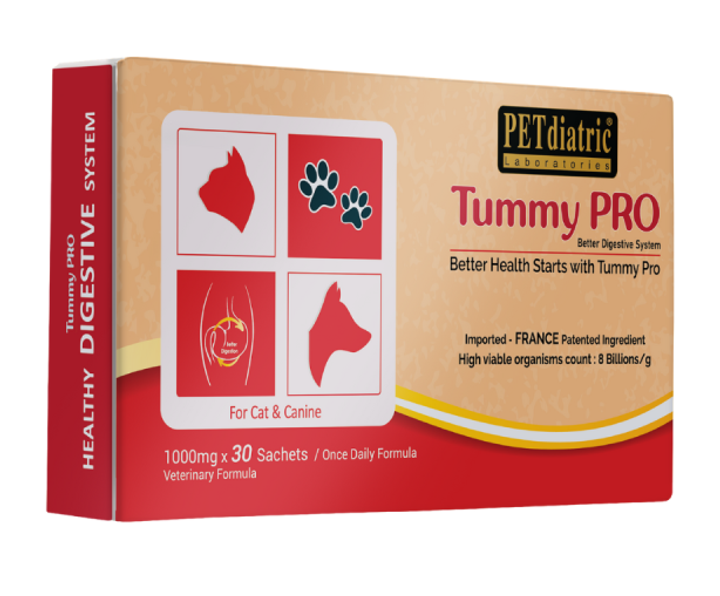 tummy pro 1