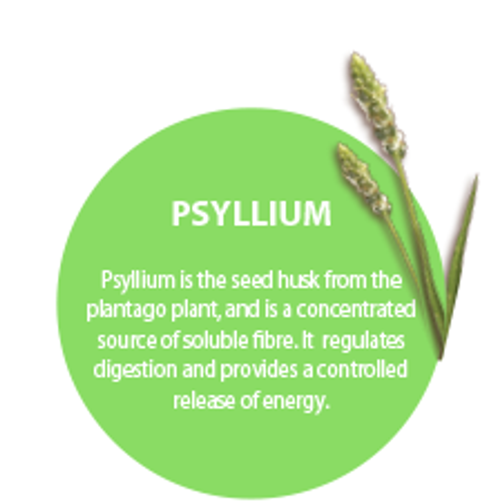 psyllium