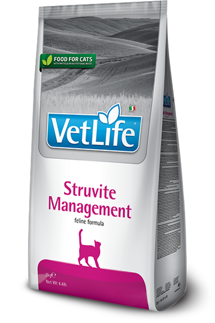 Struvite management