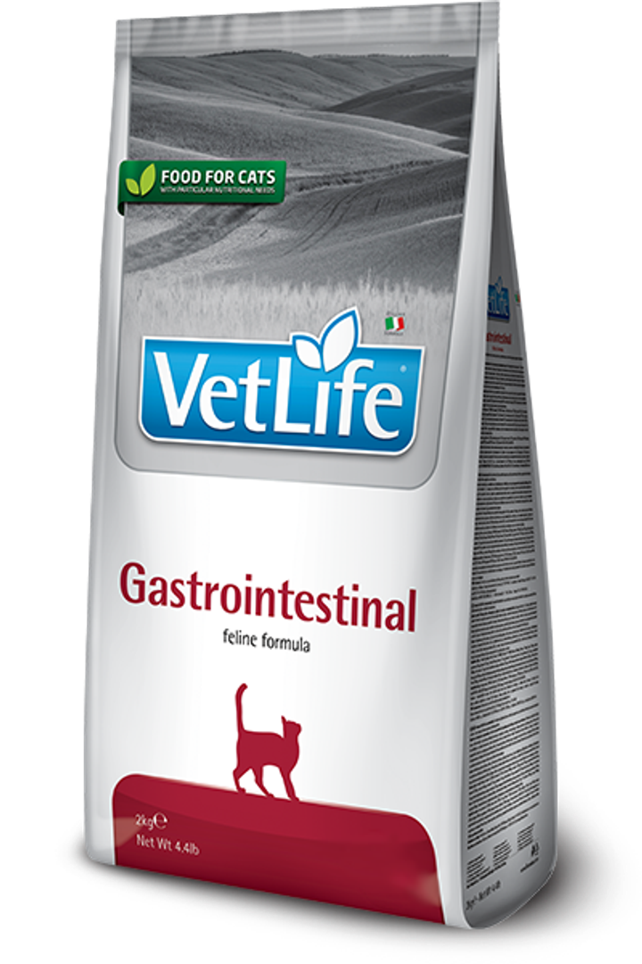 Gastro