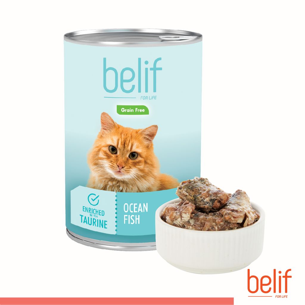 Belif-Canned-Food-400g-08