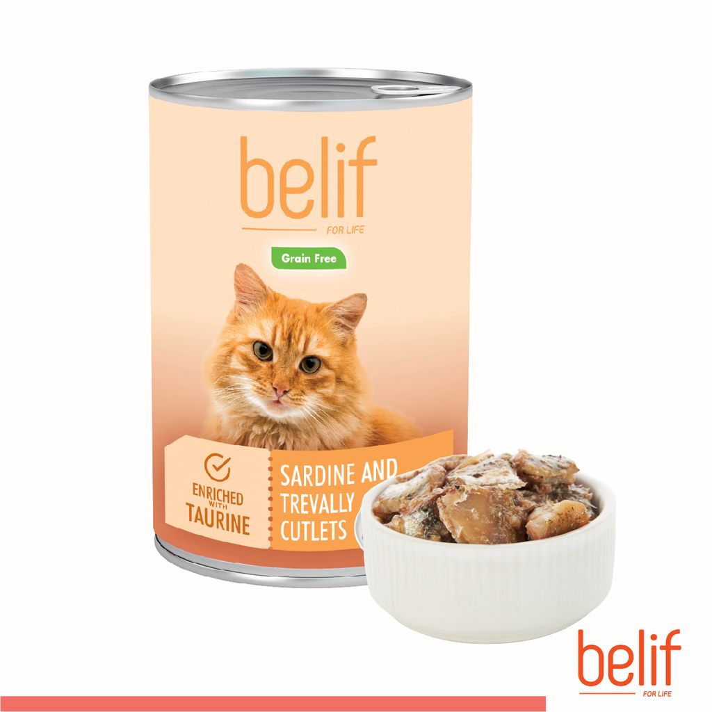 Belif-Canned-Food-400g-04