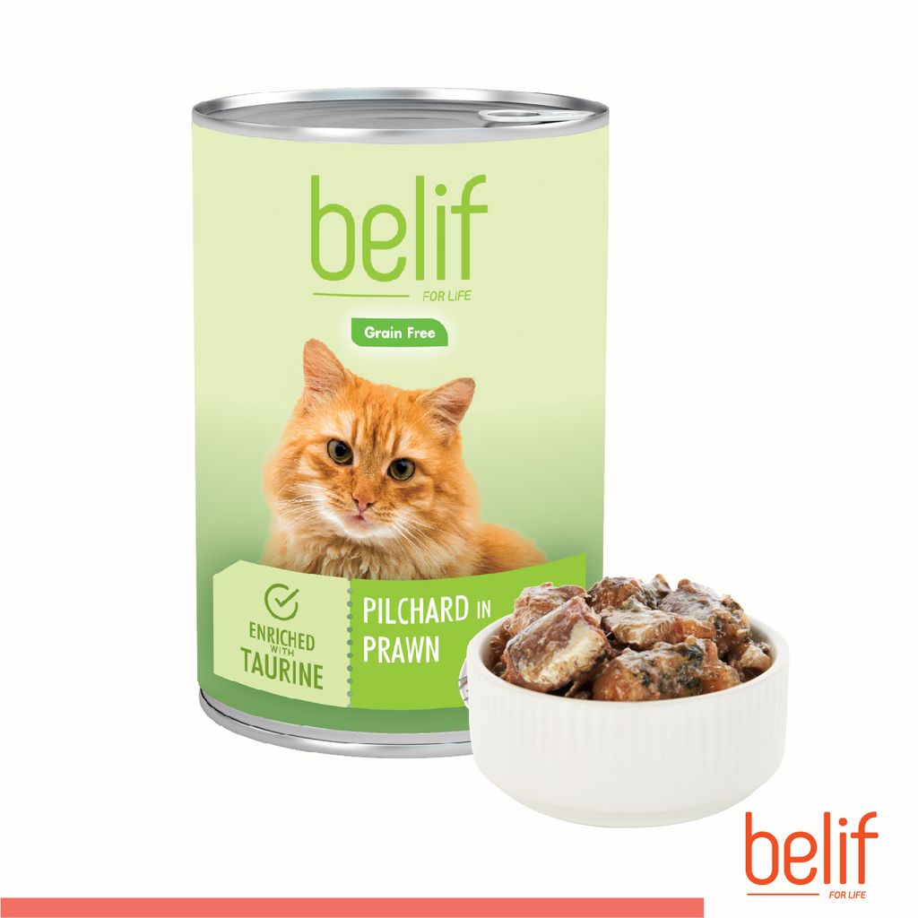 Belif-Canned-Food-400g-06