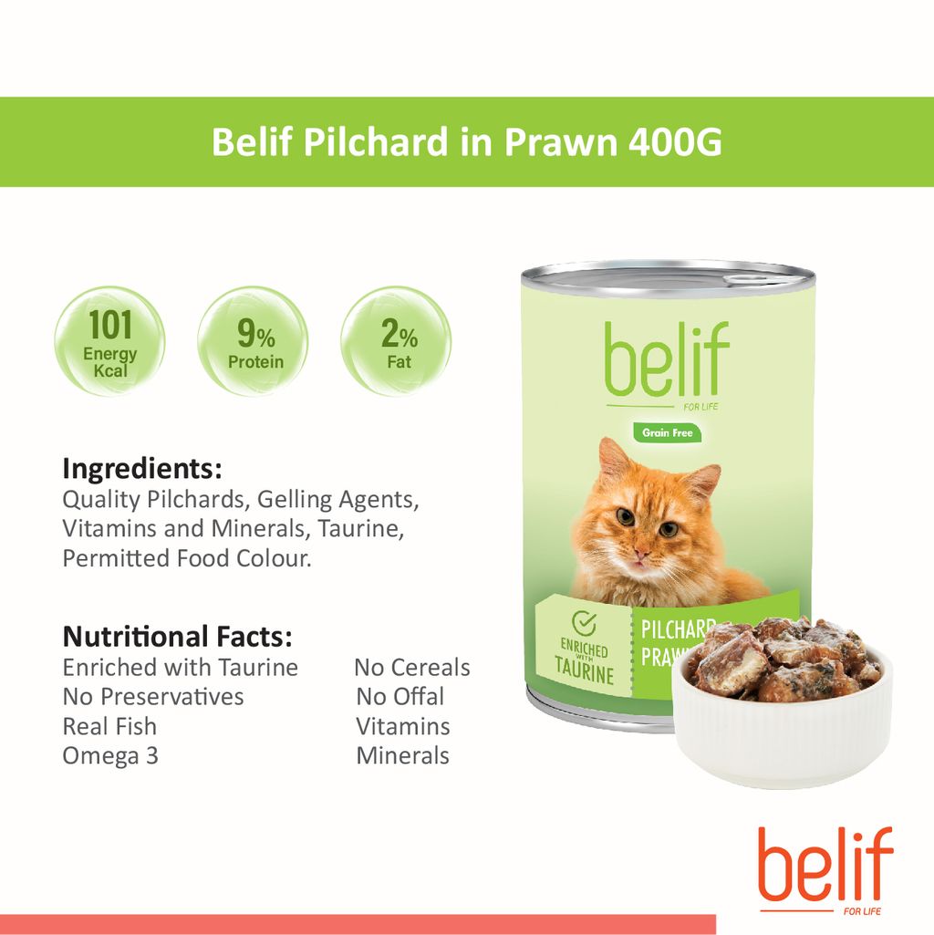 Belif-Canned-Food-400g-07