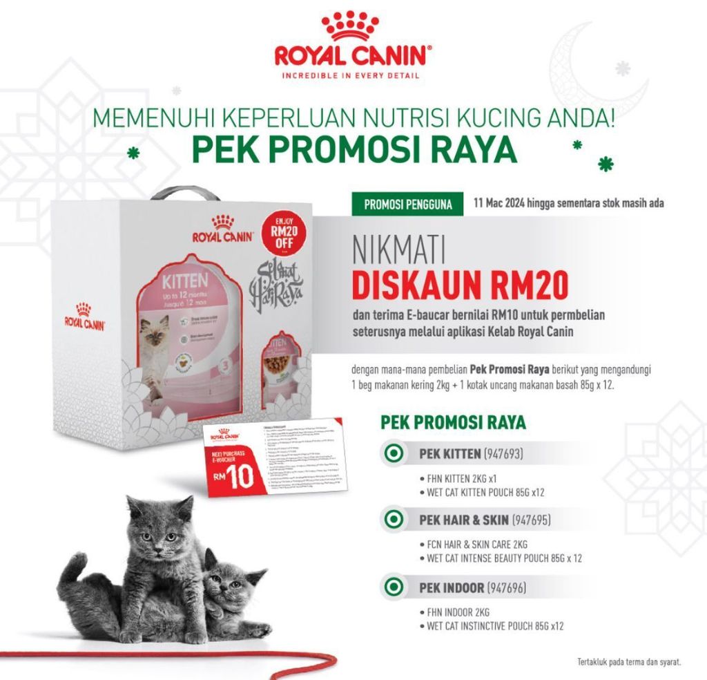 2024 Pek Promosi Raya