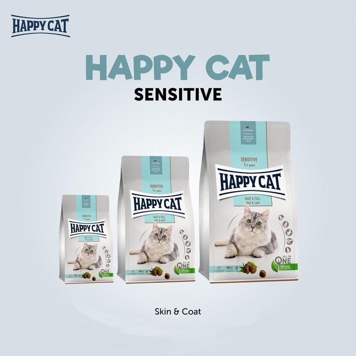 happy cat