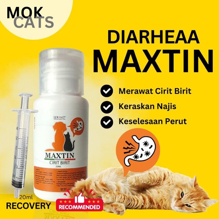 maxtin