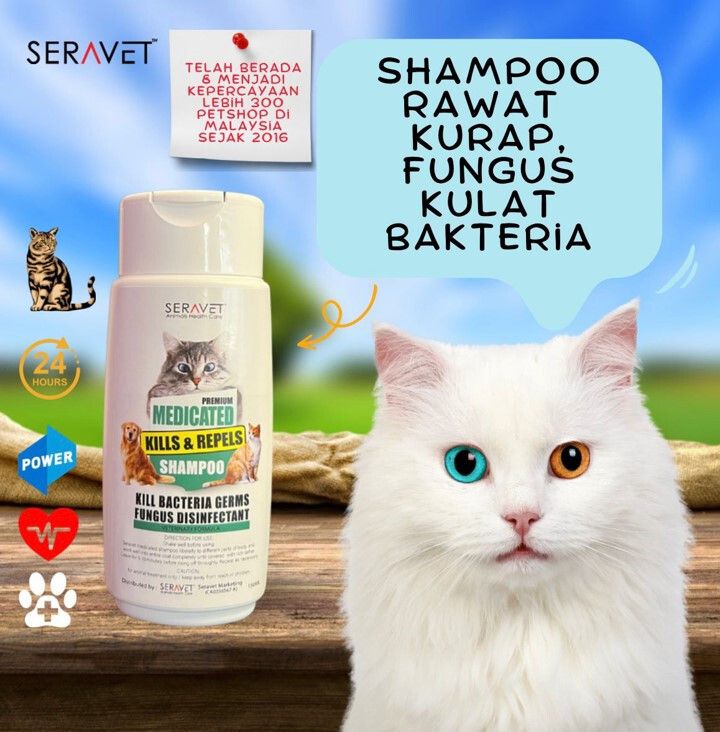 medicated shampoo