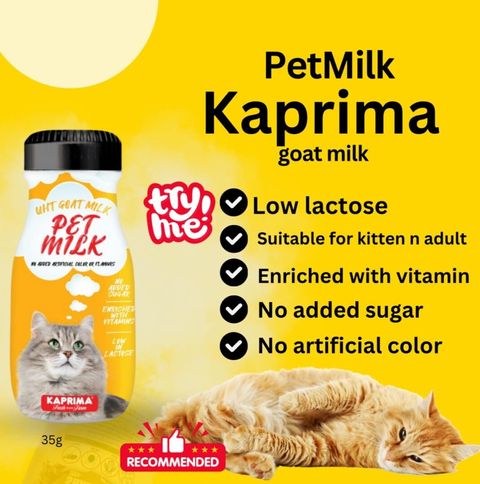 kaprima
