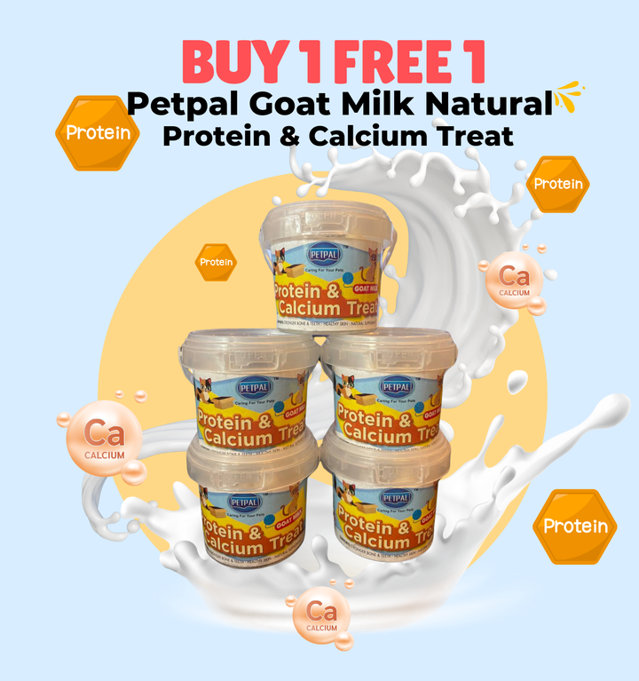 Buy 1 Get 1 Food Promotion Instagram Post (Flyers (Portrait)) (4)
