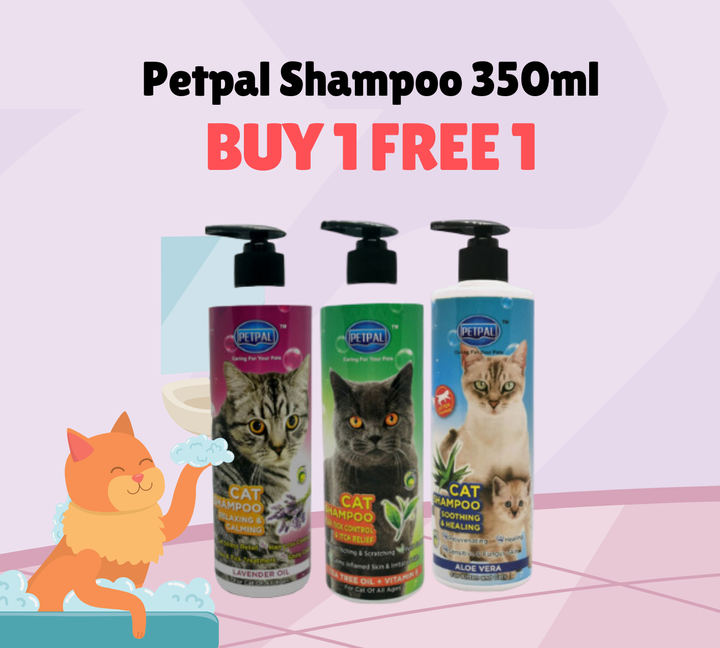 Buy 1 Get 1 Food Promotion Instagram Post (Flyers (Portrait)) (6)